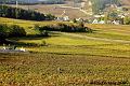 LA-BOURGOGNE-EN-AUTOMNE-06