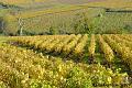 LA-BOURGOGNE-EN-AUTOMNE-11