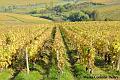 LA-BOURGOGNE-EN-AUTOMNE-12