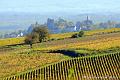 LA-BOURGOGNE-EN-AUTOMNE-14