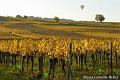 LA-BOURGOGNE-EN-AUTOMNE-17